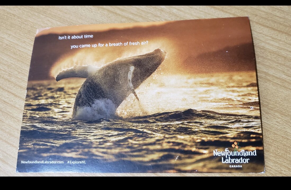 HMGhealthcare's tweet photo. We continue to receive letters &amp; postcards from around the globe for our nursing home residents. Today’s mailbag has postcards from Newfoundland and South Korea! #HMGcares #ltc @TXHCA @ahcancal https://t.co/BlU6AqpnYf
