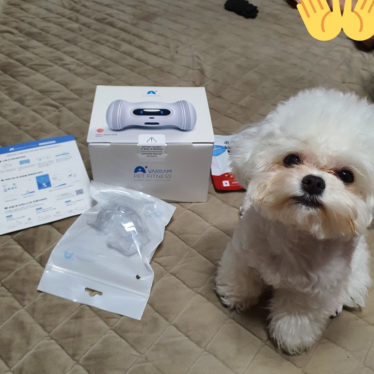 BBuGGu_Summer's tweet photo. 뿌름이네도 �� 피트니스 생겼음! https://t.co/VeWqVNPSAt