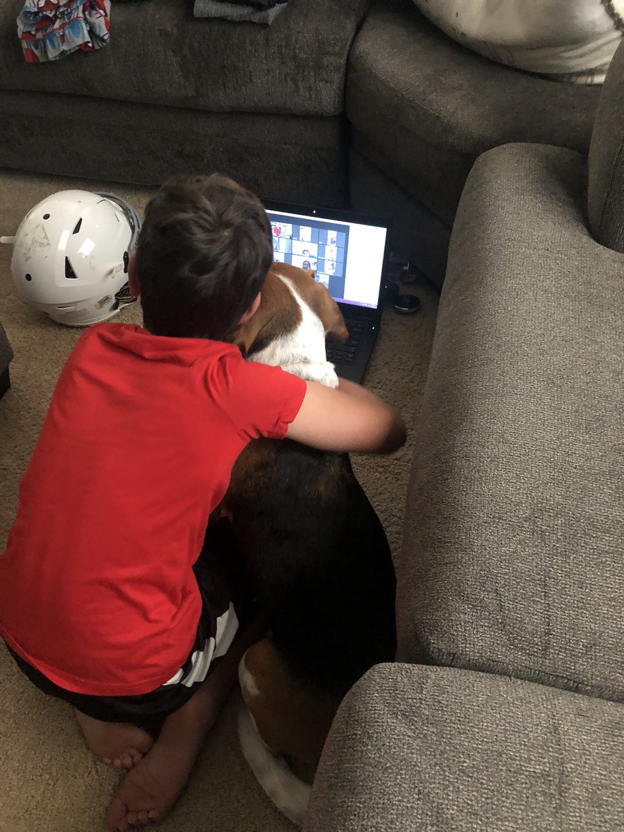 NRoberts212's tweet photo. Mrs. Hendrix is doing a great job on her Zoom today, walking her students through how to access online portals and making sure expectations are clear. Will enjoyed bringing his dog to class! ��@HeardMixon #ncssbethebest https://t.co/C8cwxiiGhB