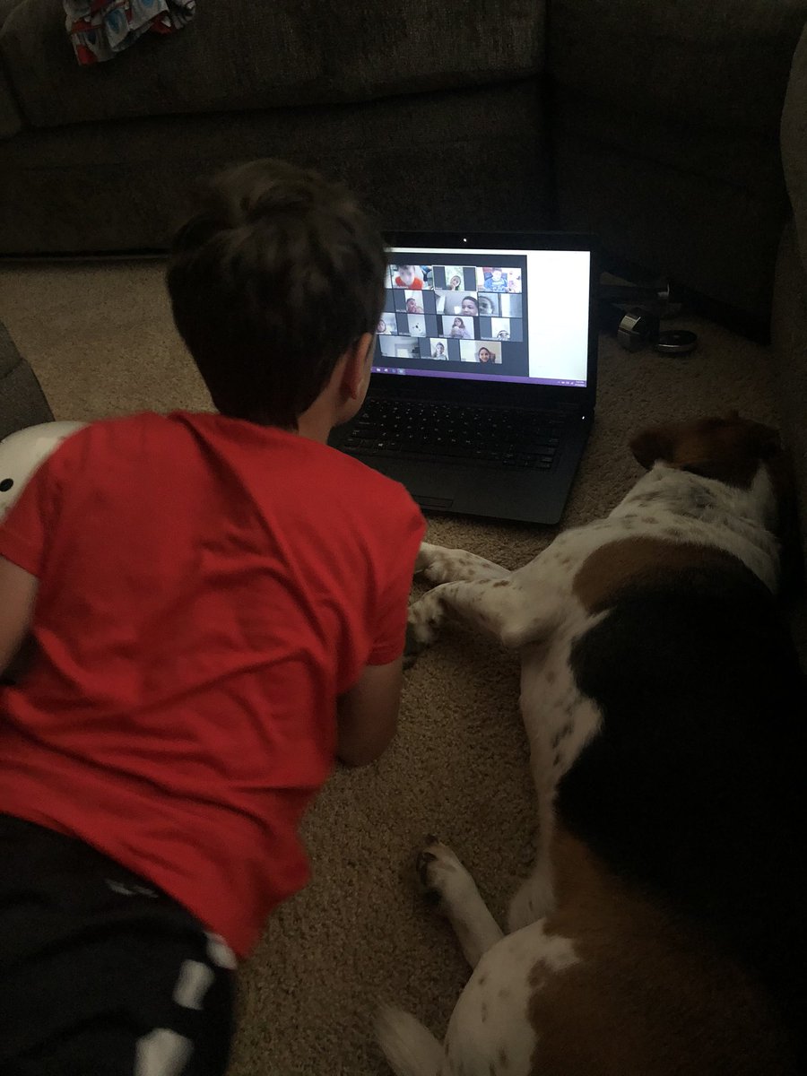 NRoberts212's tweet photo. Mrs. Hendrix is doing a great job on her Zoom today, walking her students through how to access online portals and making sure expectations are clear. Will enjoyed bringing his dog to class! ��@HeardMixon #ncssbethebest https://t.co/C8cwxiiGhB