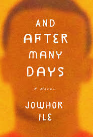 I will be honest and say that I am biased towards the book because it is set in Portharcourt but I honestly loved it. It talks about a family dealing with loss, a loss that is not final. A missing loved on is one of the worst things you will experience! This is a good book