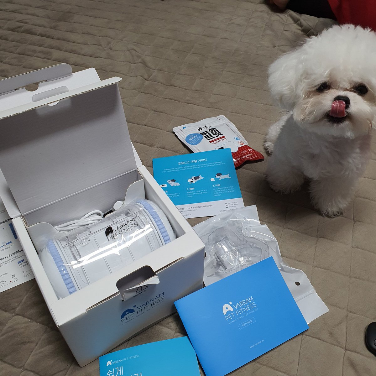 BBuGGu_Summer's tweet photo. 뿌름이네도 �� 피트니스 생겼음! https://t.co/VeWqVNPSAt