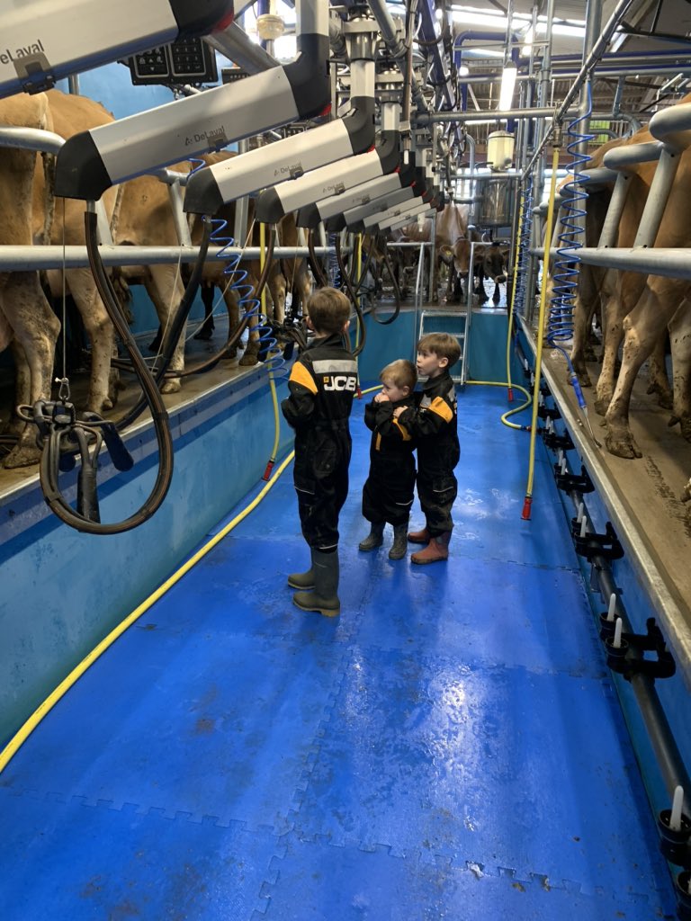 MarcusGrey77's tweet photo. Plenty of help in the new parlour this evening 🐂🐂🐂🐂 https://t.co/VwGzjyc3pY