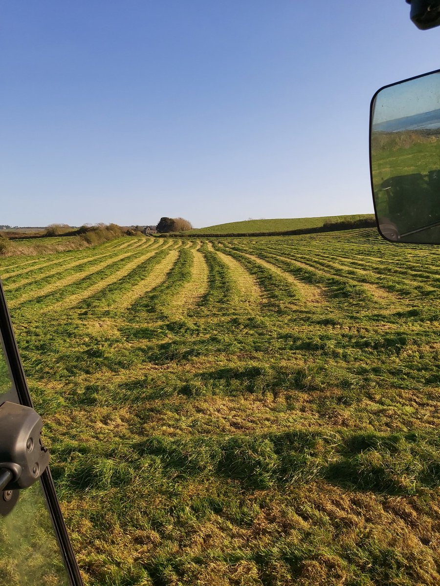 Musgrav60905348's tweet photo. The smell of fresh cut grass https://t.co/GVl3OZsGR1