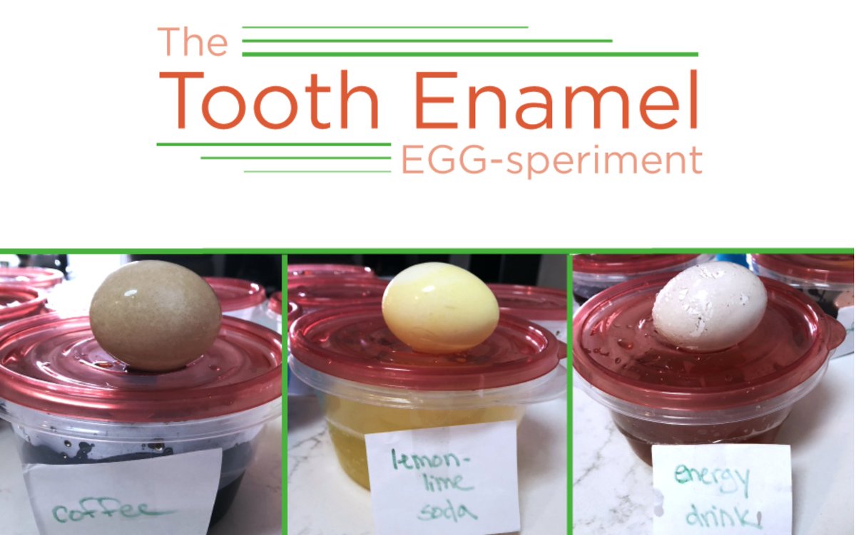 Smile_at_DOC's tweet photo. Struggling to get the kids to focus at home? Active, hands-on projects will keep them engaged, smiling, and involved in what they’re learning. Check out how this experiment teaches kids that good dental health habits can be fun: https://t.co/gaP9oAxD4e https://t.co/8QyffavYkW