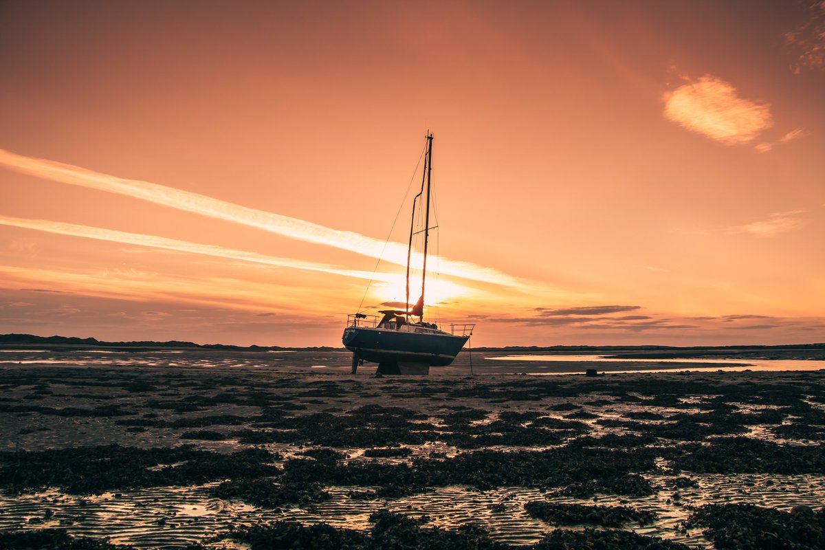 thatbeardedgu11's tweet photo. ᴸᵒʷ ᵀⁱᵈᵉ
#photography #photooftheday #ship #boat #sunset https://t.co/HHC5gef7p6