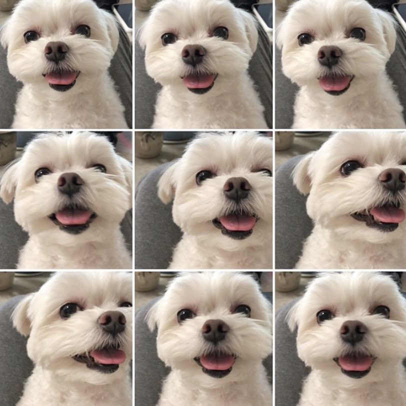 someone dm’d to include this 