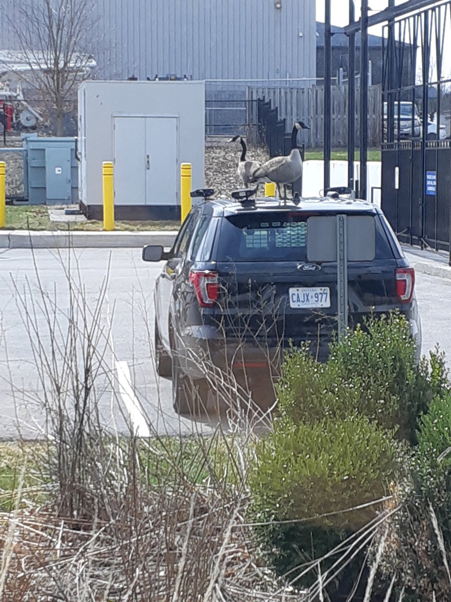 York Regional Police tweet media