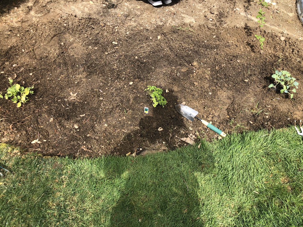 lauferlaw's tweet image. Doing some vegetable planting today. #PandemicProject