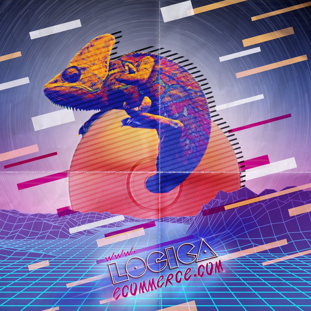 Lógica Ecommerce tweet media