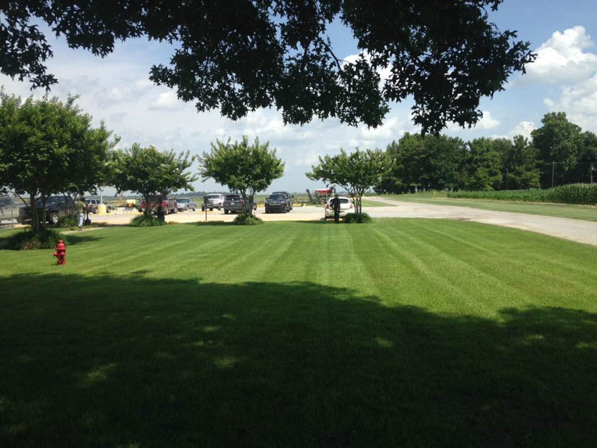 ProGreenLLC1's tweet image. Our strong work ethic, superior customer service, and commitment to excellence have wowed many of our clients. Let us show you how we can help you with any of your Residential Lanscaping, Commercial Landscaping, and Bush Trimming  needs today! #ProGree ... bit.ly/338Piwd