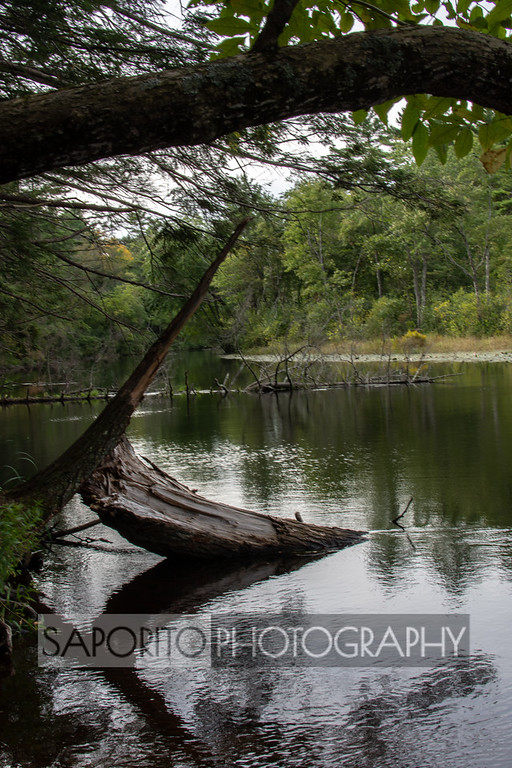 MichaelSaporit2's tweet image. Oceans, Waterfalls and Water#ipswichriver #topsfieldhttps://zcu.io/XKSd
