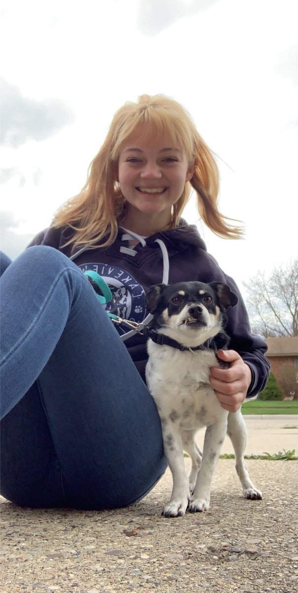 squier_kayla's tweet photo. sparky was excited for pet day 😎 #huskiesathome https://t.co/JXc8XfqdOC