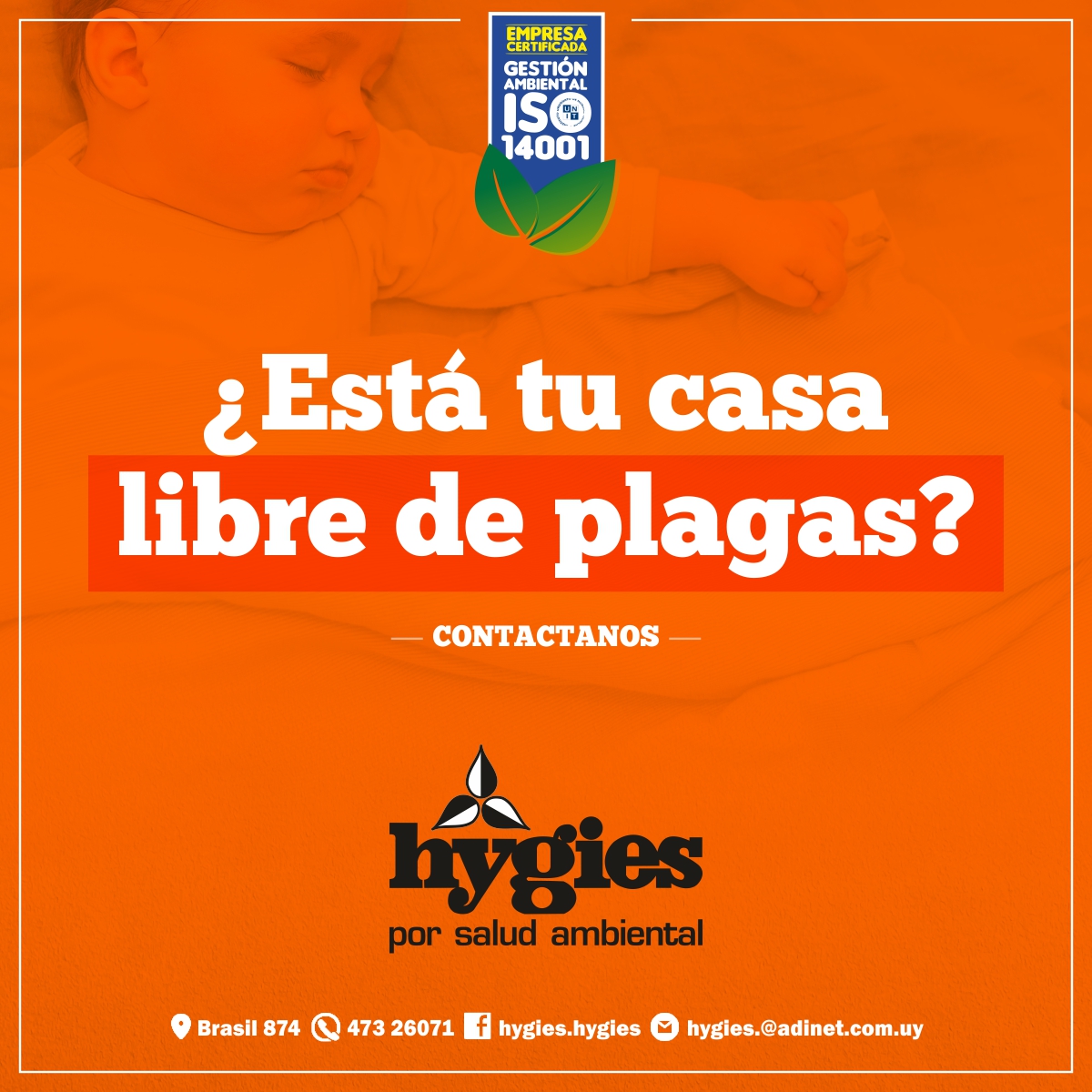HygiesControl's tweet photo. Las plagas no desaparecen, se controlan!

Cuando ves un Certificado de HYGIES significa que en ese lugar se realiza Control de Plagas con cuidado ambiental.

Contactanos.
📍Estamos en Brasil 874 (Salto)
☎️473 26071
hygies@adinet.com.uy
https://t.co/Yyumqvtnxk https://t.co/qy1FiO1zrJ