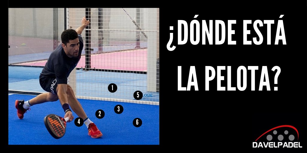 davelpadel's tweet photo. 👉¿DÓNDE ESTÁ LA PELOTA?🎾
▶️Adivina AHORA dónde mira 👀 el tiburón 🦈 @maxisanchezoficial 💪 https://t.co/DjVUEEgVg4