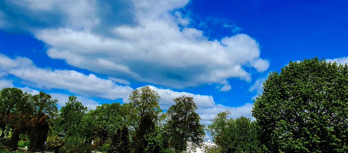 AGattung's tweet photo. 🌿🏞🌿
.
#alexandragattung #landschaft #landscape #fotografia #photography #photo #photographer #PHOTOS #nature #nature #natura https://t.co/wH7lLq1dKI