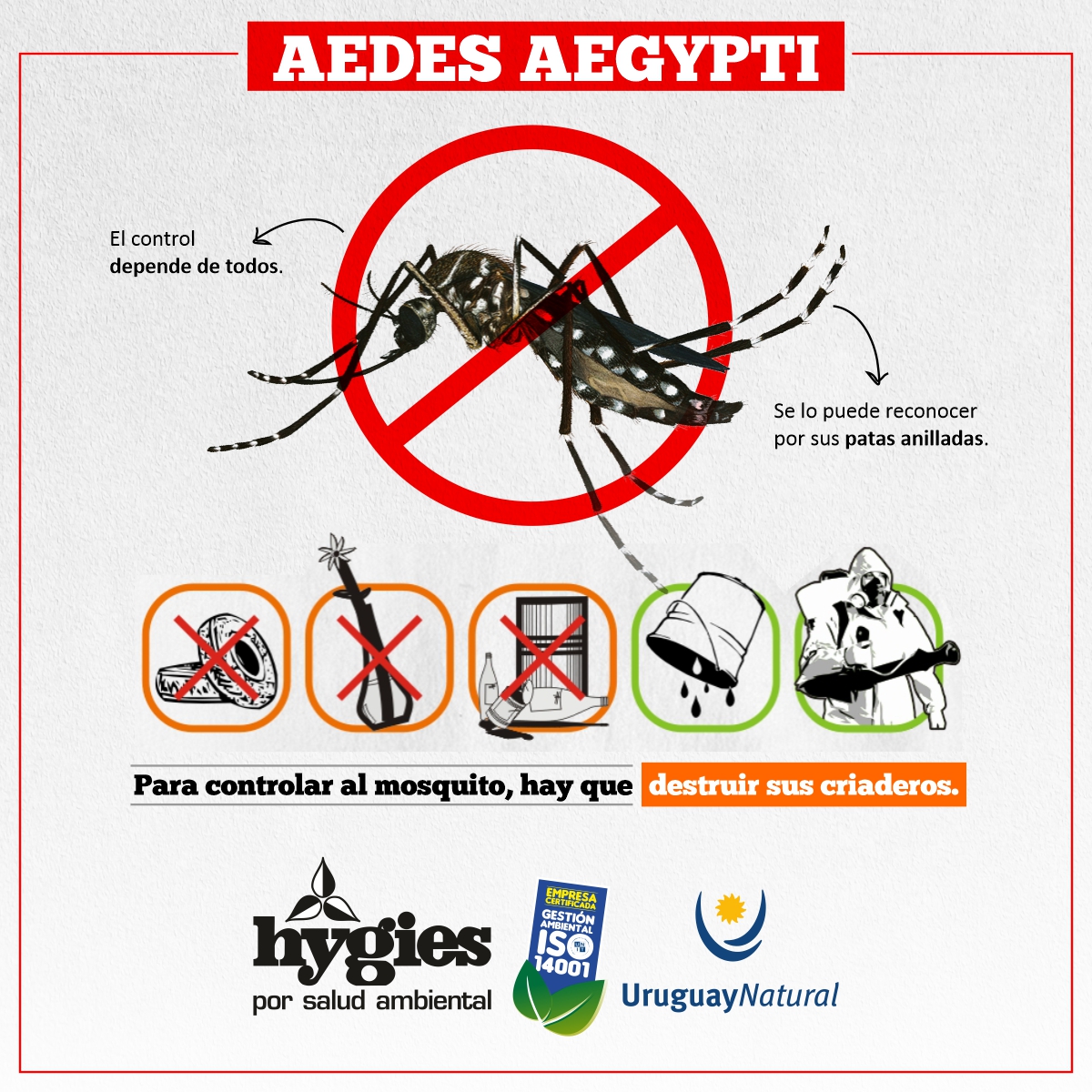 HygiesControl's tweet photo. No nos olvidemos de el 🦟 
#QuedateEnCasa y elimina de tu hogar los potenciales criaderos del mosquito transmisor del Dengue.
Recuerda que el Aedes aegypti vive entre nosotros y para reproducirse necesita de superficies rígidas que acumulen agua.
El control depende de todos. https://t.co/4ac2QVjqv7
