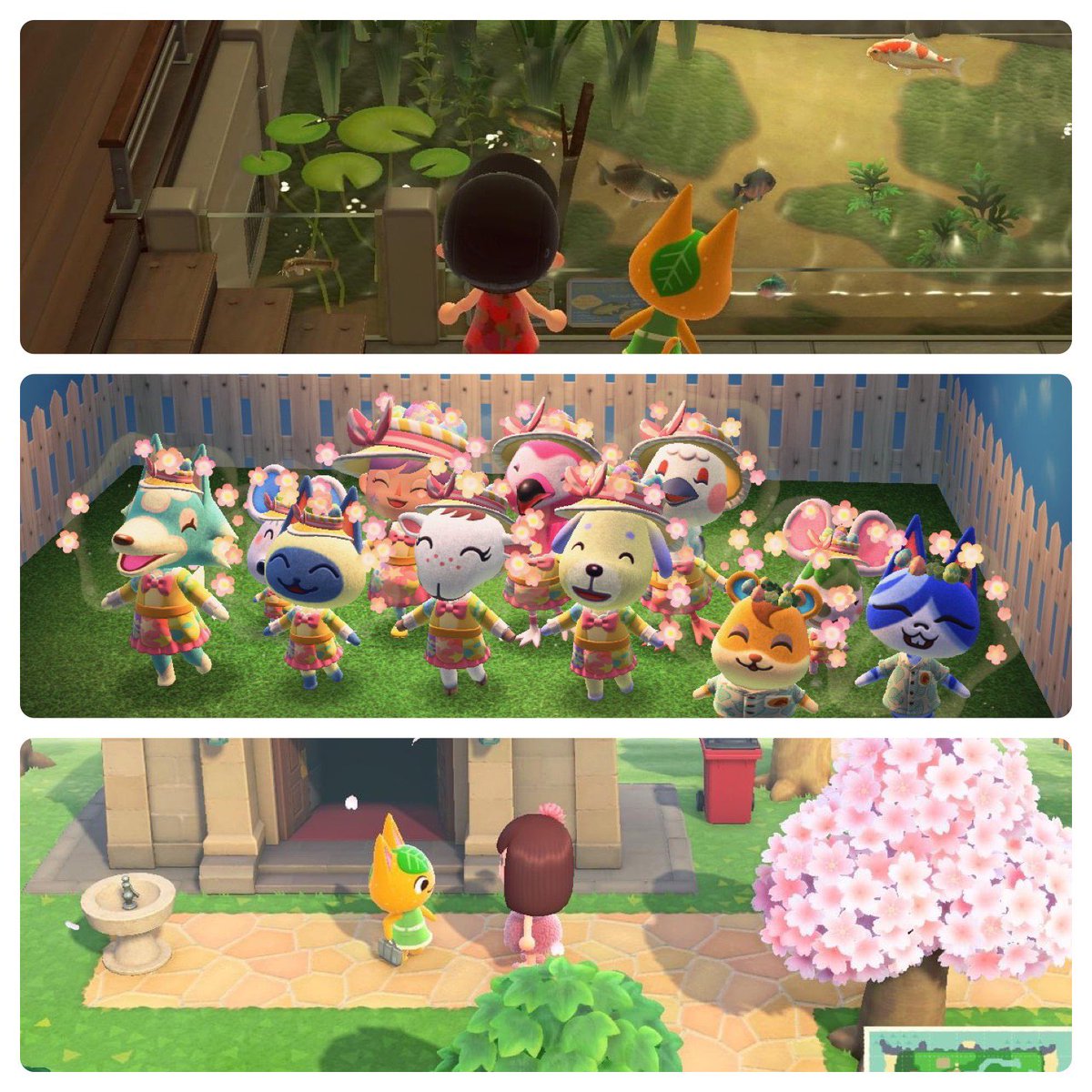 CSquirrel994's tweet photo. Way too obsessed with this game! #AnimalCrossingNewHorizons #tangy #marshal https://t.co/YDScedXMqX