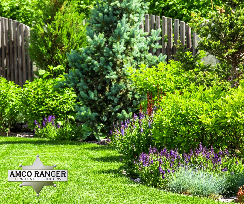 Don’t let pests get in the way of enjoying your backyard this spring and summer. Give Amco a call and we’ll come out and do a FREE inspection, so you and your family can get back to enjoying the yard.
amcoranger.com/contact/  
#PestControl #AmcoRanger