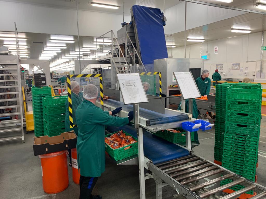 FreshFromMack's tweet image. The team at our Paddock Wood packing factory have been brilliant with the challenge of social distancing. Creative solutions and new controls but everyone stil focused and positive. #keyworkers #fruit #freshproduce #heroes