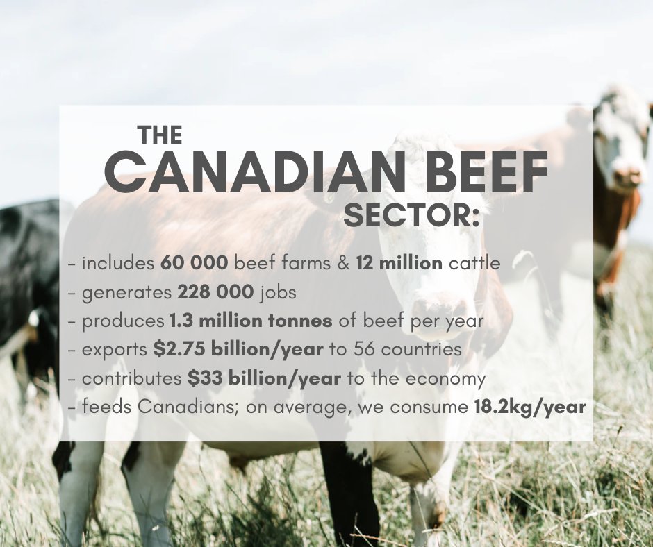While dealing with the unprecedented #COVID19 crisis, we must remember and appreciate those who continue to provide us with food. Here are some facts about the Canadian #beef industry. THANK YOU to all involved in the production, processing &amp; distribution of Canadian beef! #CdnAg