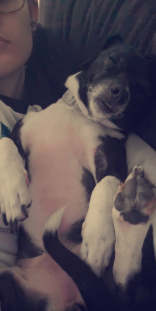 ___asmith's tweet image. She's enjoying this way too much.... @LesisMoreSports