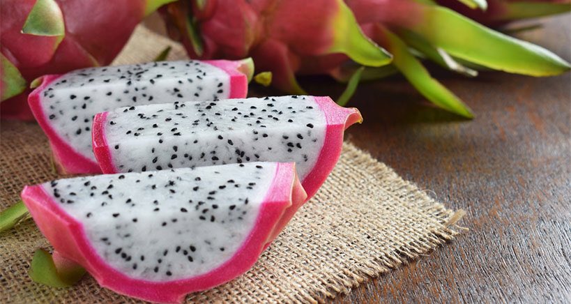 hatori / dragonfruits