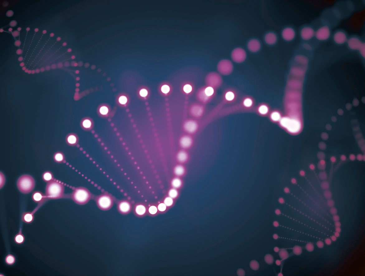 Praesta Partners tweet media