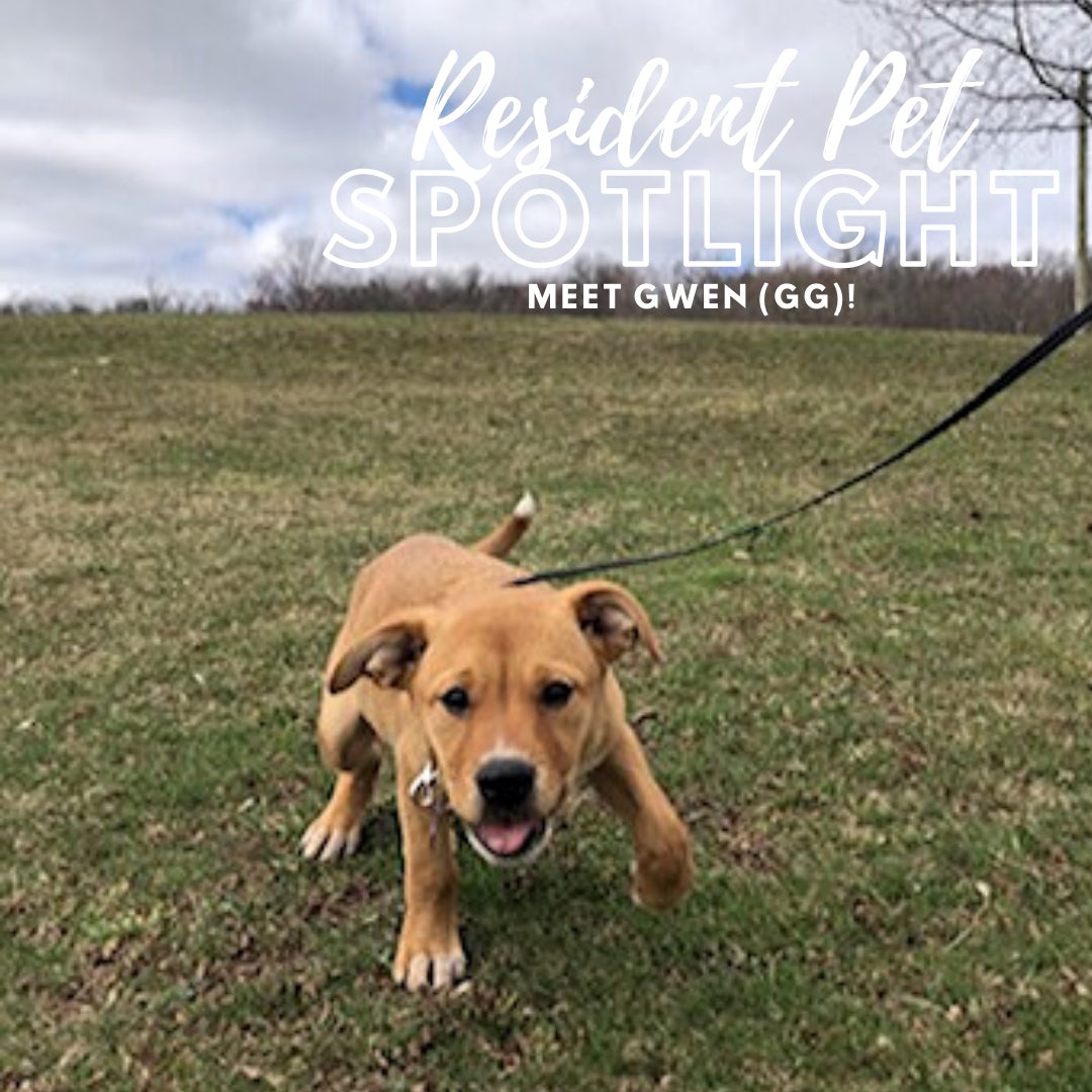 betteratbleu's tweet photo. A quarantine mood booster! ๐พ
Keep sending in pictures of your furry friends! ๐ถ๐ฑ
#BetterAtBleu #PetFriendly #NowLeasing https://t.co/IkFqgcWLjA