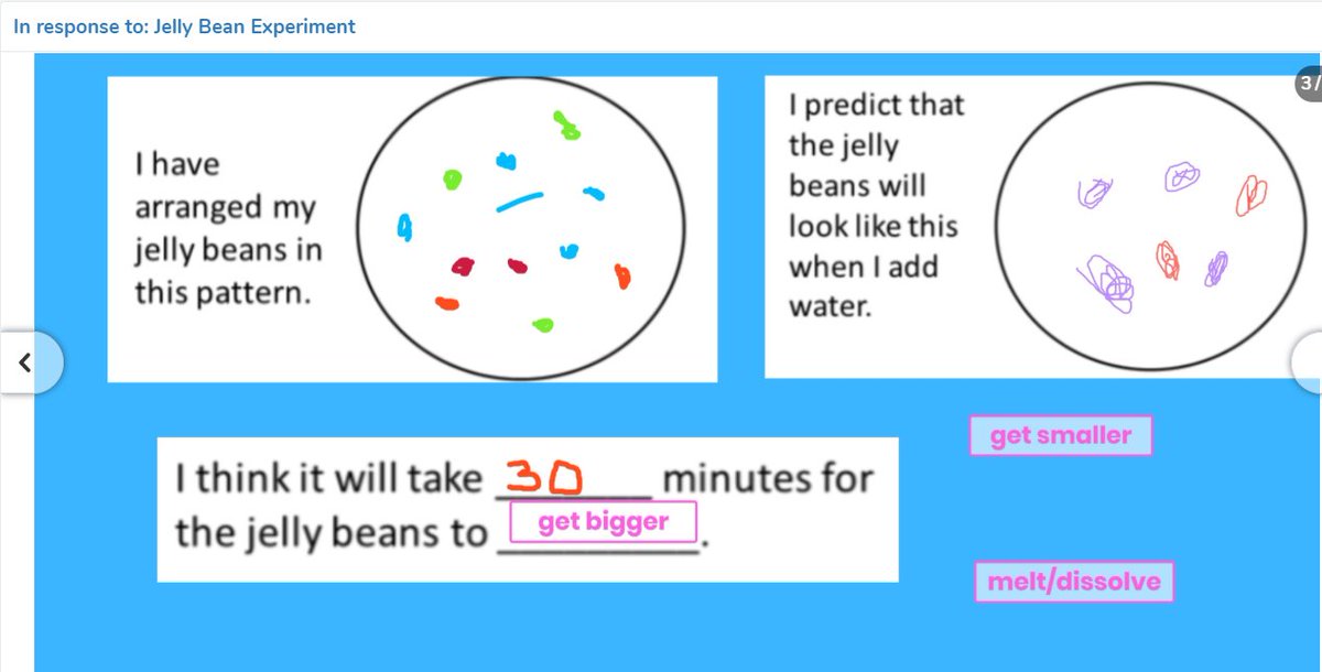 CassadyMiner's tweet photo. Love seeing a student's timely experiment results via @Seesaw! I'm grateful for every opportunity to stay connected. https://t.co/1E7X4gKZzN