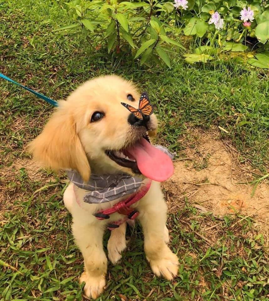 cathyhiatt's tweet photo. this might be the cutest thing i think i've ever seen https://t.co/jl2Zmevl65