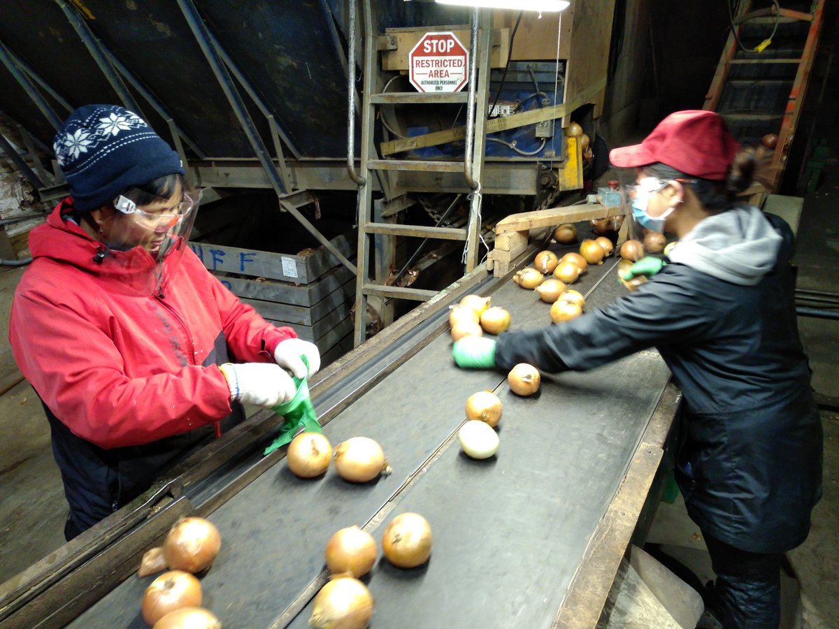 Pfenning's Farm tweet media