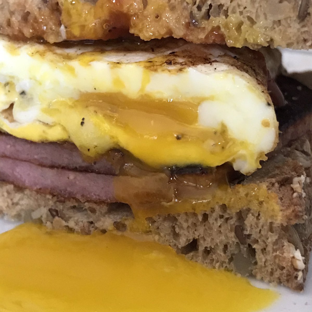 oleologist's tweet photo. Taylor ham / Egg / Cheese / SPK
•
•
•
•
•
#groveandvine #olive #oil #oleologist #evoo #olio #nicholascoleman #gv #coronavirus #quarantine #fundamental #oliveoil #pantry #shelfstable #bottle #nj #sale #recipe #food #healing #nutrition #wholesale #bunker #taylorham #eggs https://t.co/7DU3FLtFy3