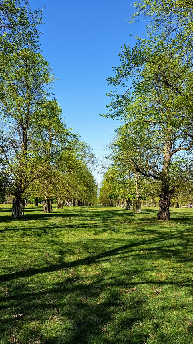 Thank God for London's parks.....