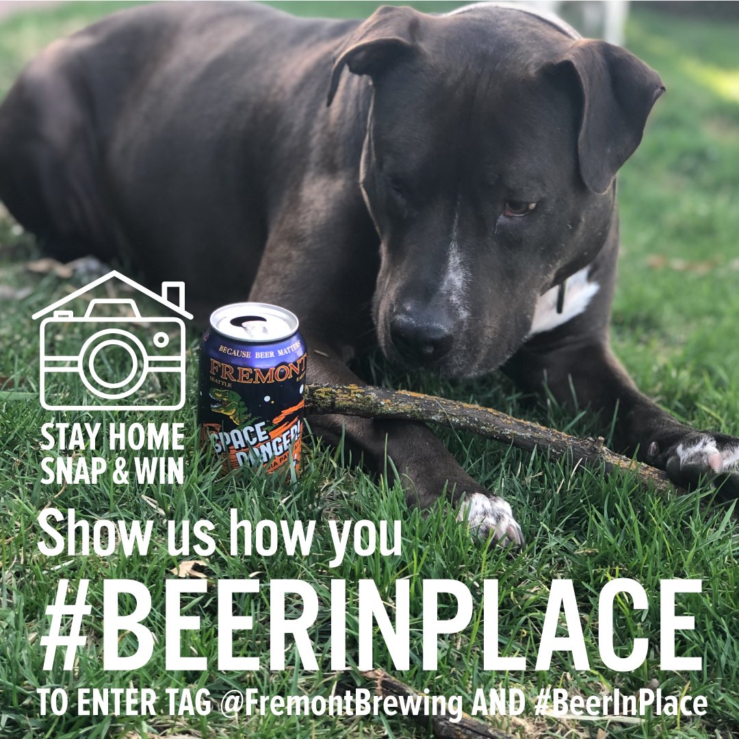 fremontbrewing's tweet image. Show us how you #BeerInPlace! Head over to instagram.com/fremontbrewing/ for details.