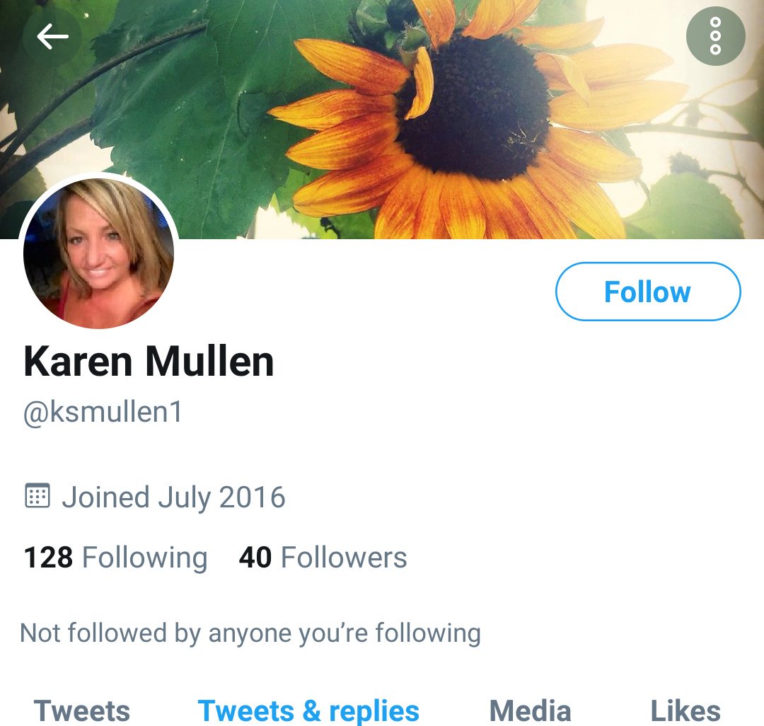 "Karen" here was born in April 2016 but only has 40 followers. More importantly, only 340 tweets.Granted she could be scrubbing but I don't think "Karen" is programmed that way