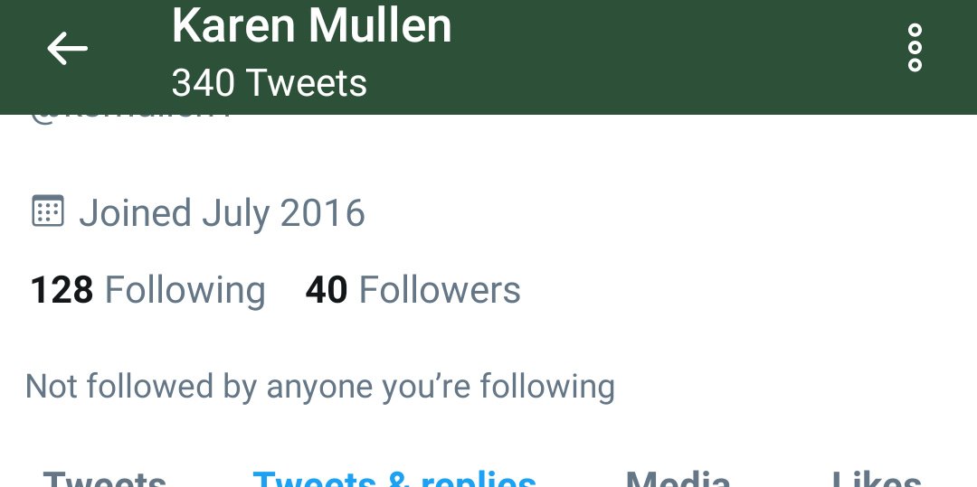 "Karen" here was born in April 2016 but only has 40 followers. More importantly, only 340 tweets.Granted she could be scrubbing but I don't think "Karen" is programmed that way