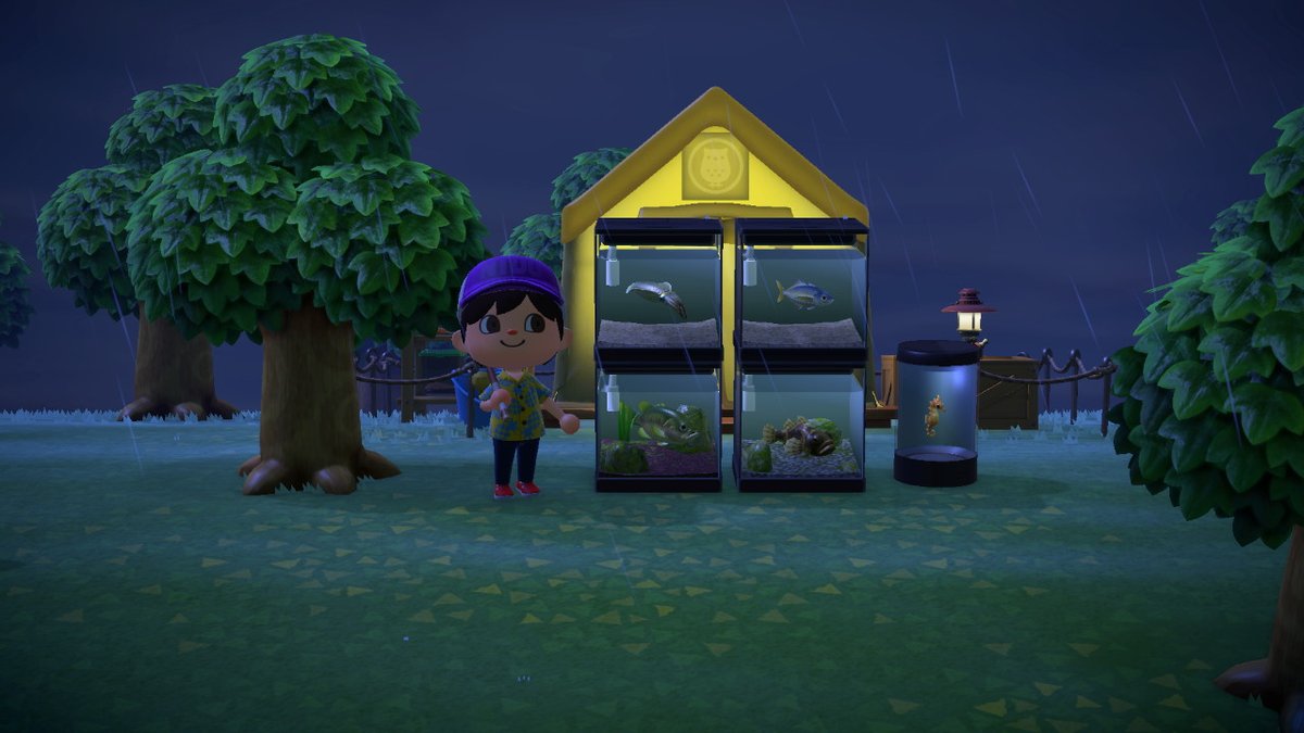 mervlam's tweet photo. Some of my first day fishing haul!
#AnimalCrossing #ACNH #NintendoSwitch https://t.co/cLqKFzLLlP