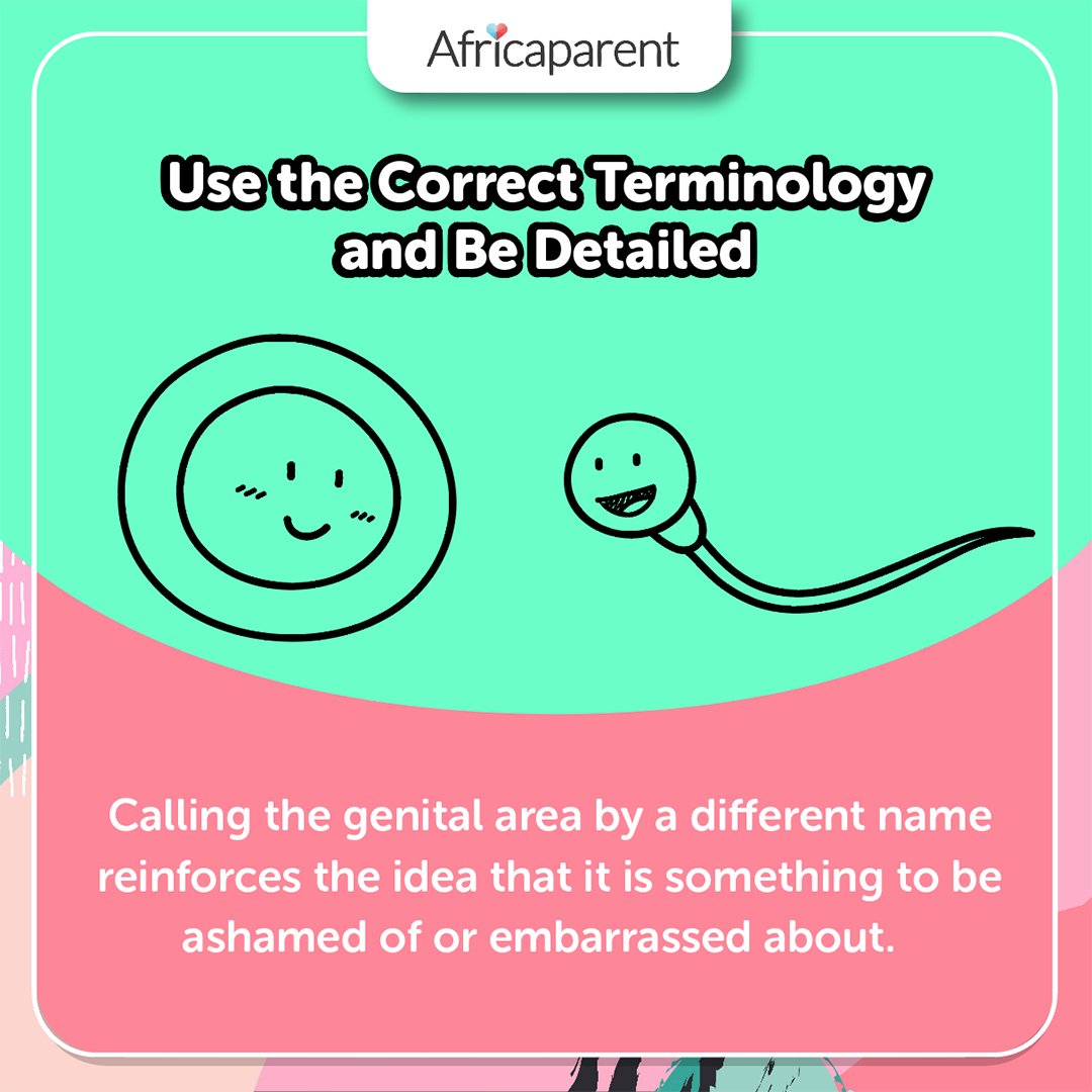 Say it as it is. Don't use 'willy' in- place of 'penis'. Use the exact or the closest correct word for all terminologies.