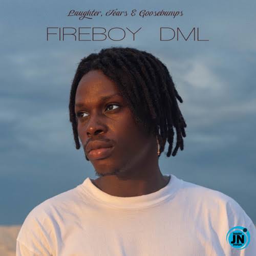 L.T.G -Fireboy dml'