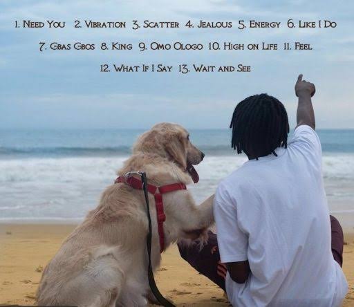 L.T.G -Fireboy dml& #39;