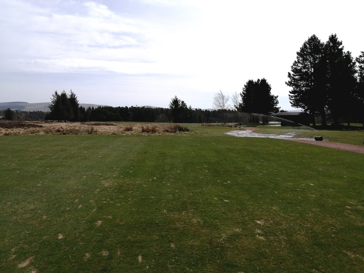 stufergusonmg's tweet photo. Sunshine+Sprinklers on Slipperfield @WestLintonGolf  Tee Complexes next in the chair for a trim. No New Divots to report! #TurfSpiv #GolfDiv #WeeHarri  #cherishthegoodturf https://t.co/pbOuCXfWLO