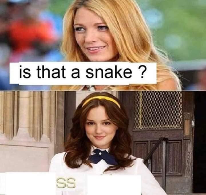 SI GIRL SHRJSJEJENE