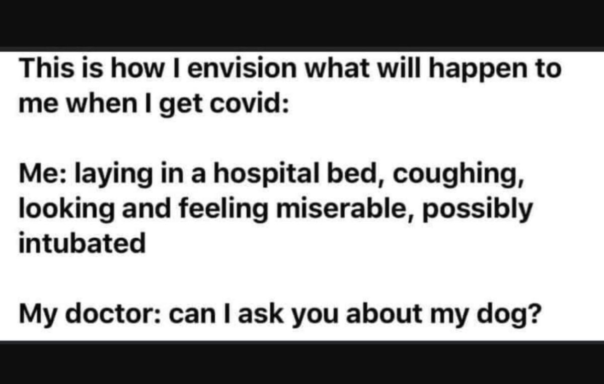 Anonyvet's tweet image. All I’m saying.......