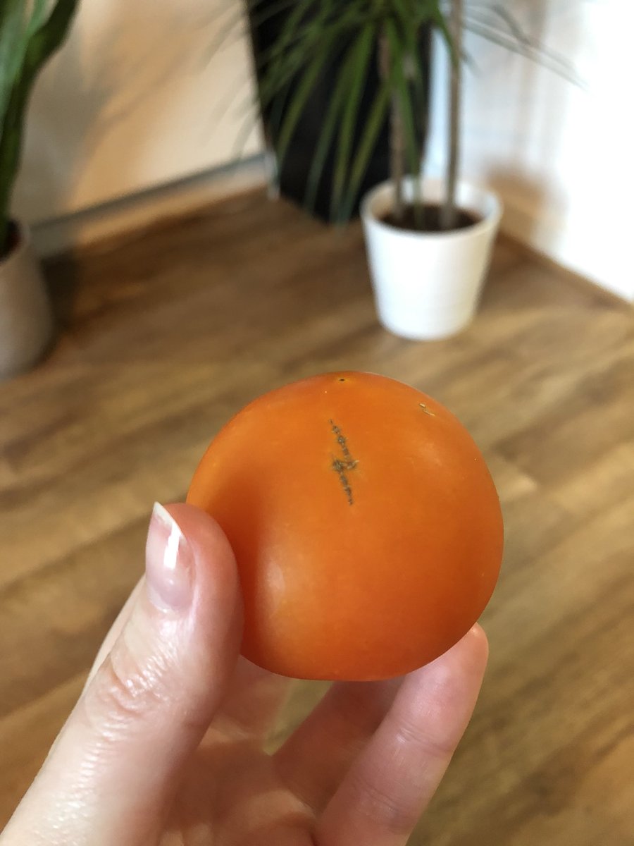 HE’S BACK! ⚡️

#youknowwho #HarryPotter #hewhoshallnotbenamed #Hogwarts #jkrowling