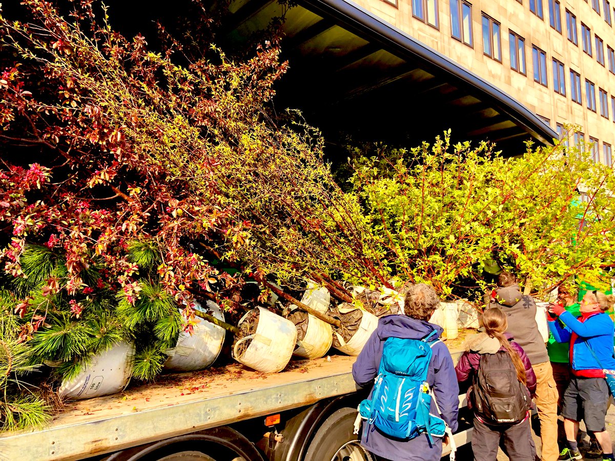 47_trees's tweet photo. This time last year, we, the 47 trees, were ready and waiting... we had been hand selected for our ability to sequester CO2, our visual impact &amp; that many of us were about to burst into blossom. We were 47 XR Rebels making our way to Waterloo Bridge, our finest hour! @ExtinctionR https://t.co/Klv945qQ0t
