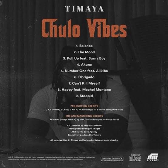 Chulo Vibes -Timaya