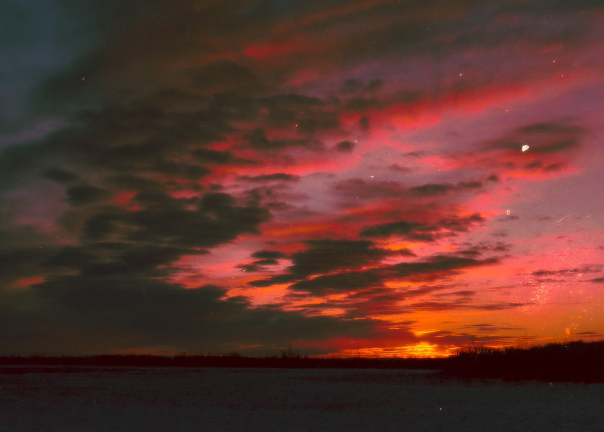 willllliam's tweet image. photos I’ve taken on film during sunsets