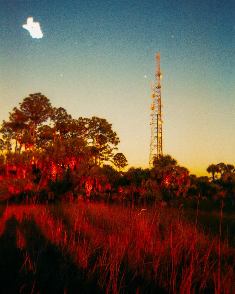 willllliam's tweet image. photos I’ve taken on film during sunsets