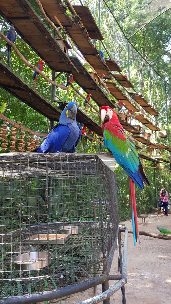 Parque das Aves - Foz do Iguaçu, Brazil